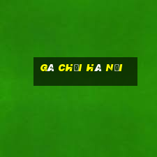 gà chọi hà nội