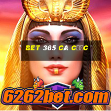 bet 365 cá cược