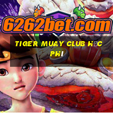 tiger muay club học phí