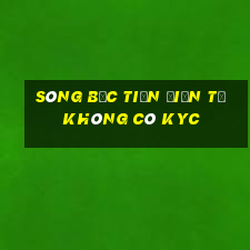 sòng bạc tiền điện tử không có kyc