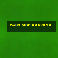 Phần mềm rau bina