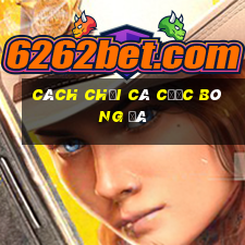 cách chơi cá cược bóng đá