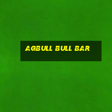 agBull bull Bar