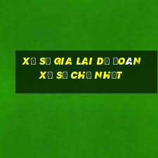 Xổ Số gia lai Dự Đoán Xổ Số Chủ Nhật