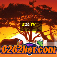 b29.tv