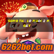 song thủ lô nuôi 2 ngày