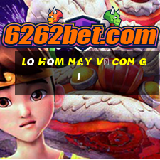 lô hôm nay về con gì