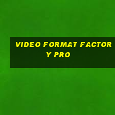 video format factory pro