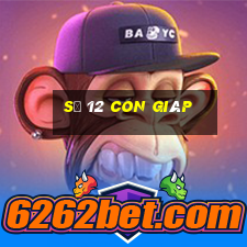 số 12 con giáp