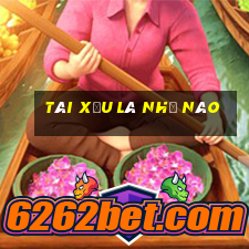 tài xỉu là như nào