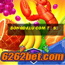 bongdalu com tỉ số