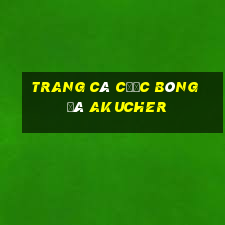 trang cá cược bóng đá akucher