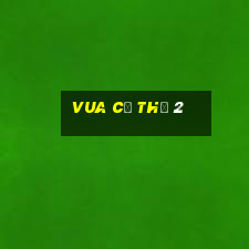 vua cờ thứ 2