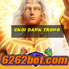 choi danh trong