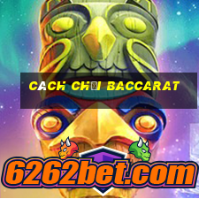 Cách chơi baccarat