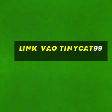 link vao tinycat99