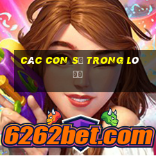 các con số trong lô đề