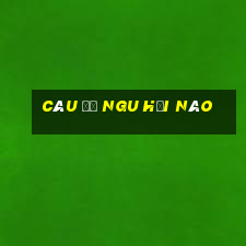 câu đố ngu hại não