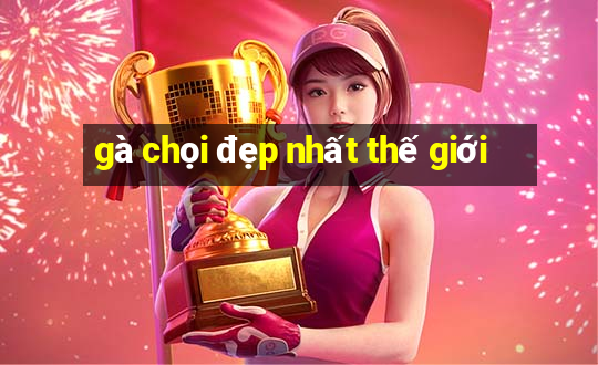 gà chọi đẹp nhất thế giới