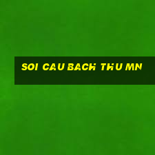 soi cau bach thu mn