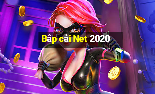 Bắp cải Net 2020