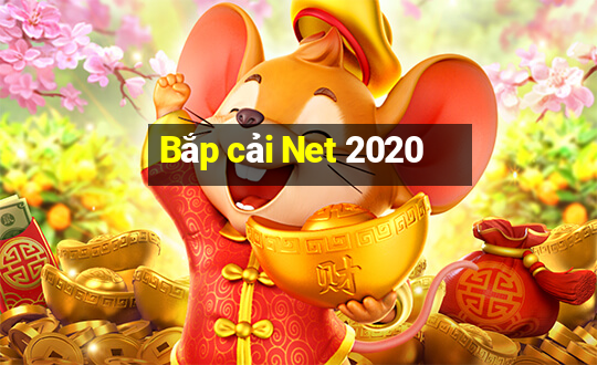 Bắp cải Net 2020