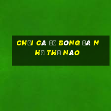 chơi cá độ bóng đá như thế nào