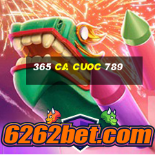 365 ca cuoc 789