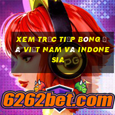 xem trực tiếp bóng đá việt nam và indonesia