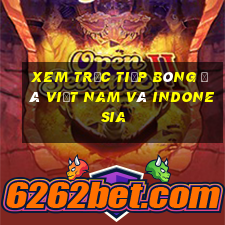 xem trực tiếp bóng đá việt nam và indonesia