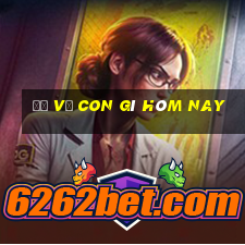 đề về con gì hôm nay