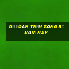 Dự đoán trận bóng rổ hôm nay