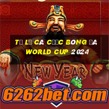 tỷ lệ cá cược bóng đá world cup 2024