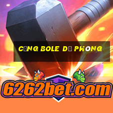 Cổng Bole dự phòng