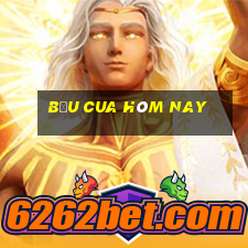 bầu cua hôm nay