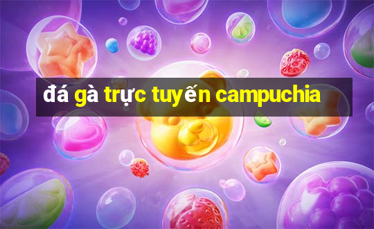 đá gà trực tuyến campuchia