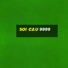 soi cau 9999