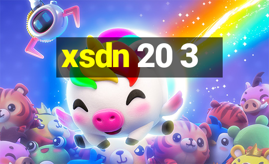 xsdn 20 3