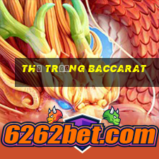 Thị trường Baccarat