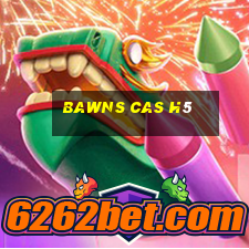 bawns cas h5