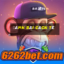 đánh bài cách tê