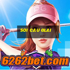 soi cau glai