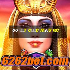 66 đặt cược màu gc