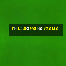 tỷ lệ bóng đá italia