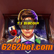 tải bigcoin