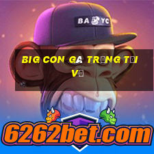 Big con gà trống tải về