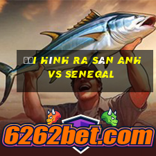 đội hình ra sân anh vs senegal