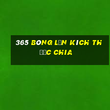 365 bóng lăn Kích thước chia