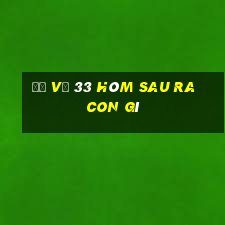 đề về 33 hôm sau ra con gì