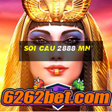 soi cau 2888 mn